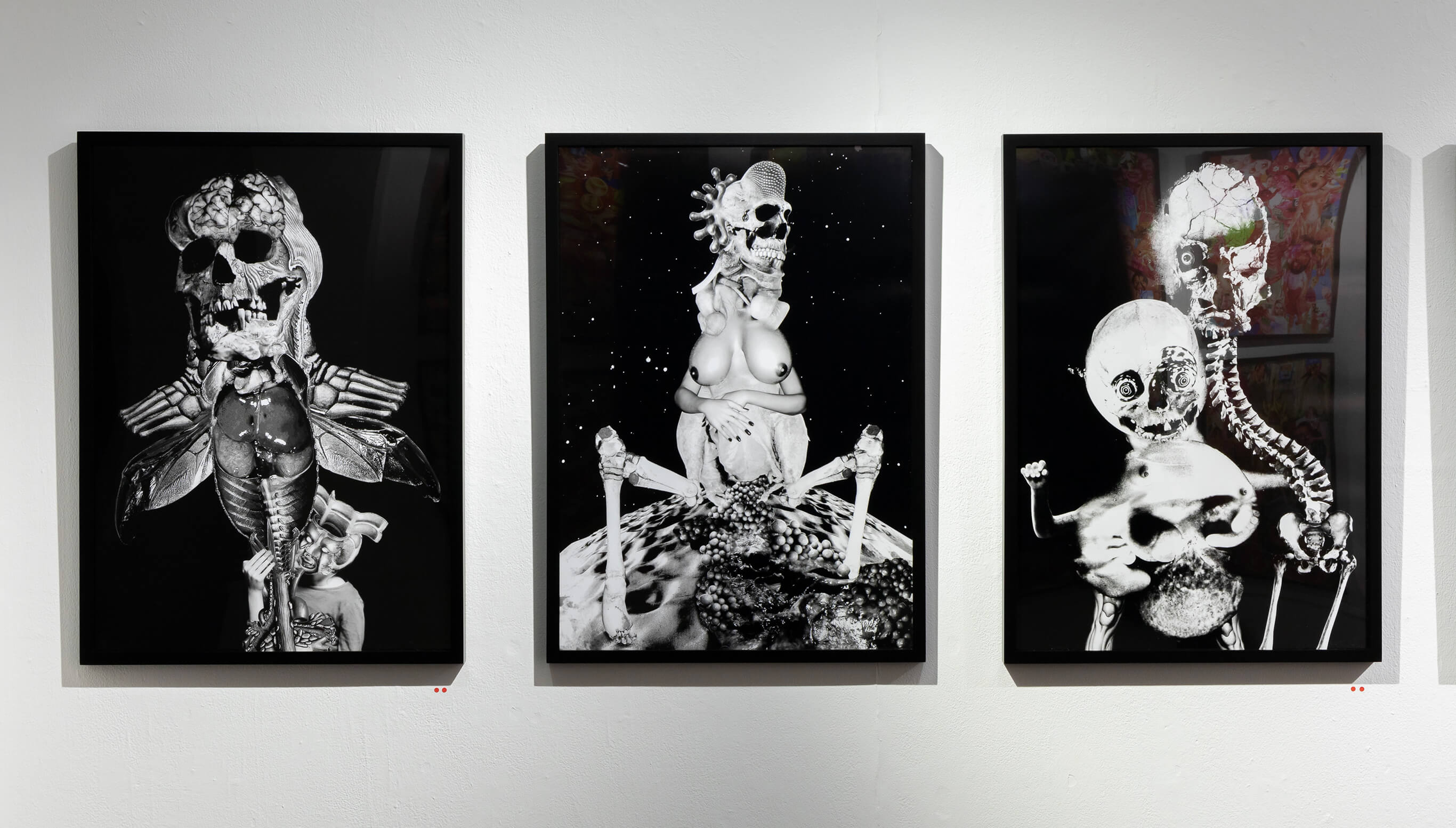 セキンタニ・ラ・ノリヒロ