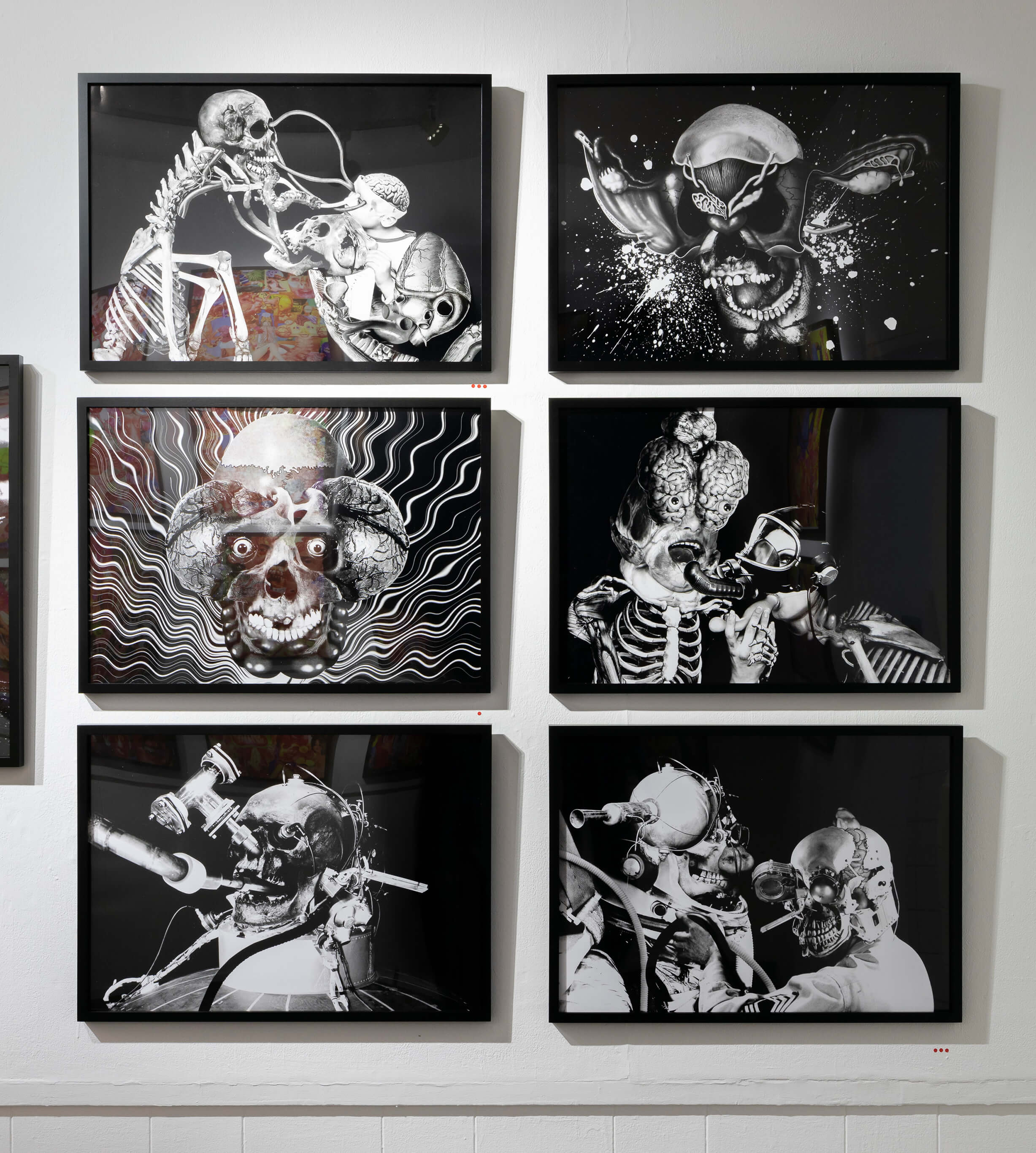 セキンタニ・ラ・ノリヒロ