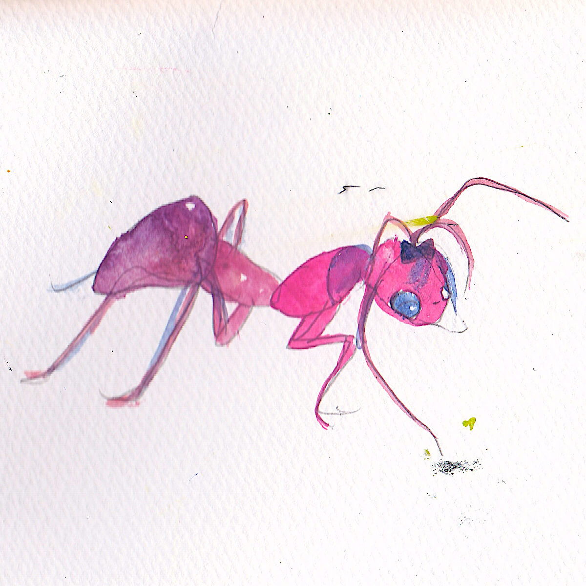 はまぐちさくらこ